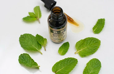 rosemary mind and avacado scalp bottle with mint leaves around it